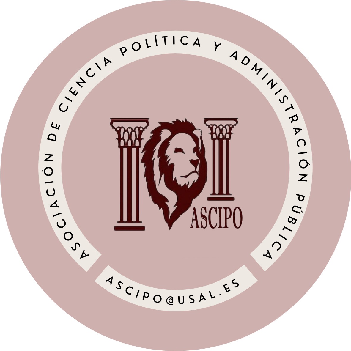 Asociación de ciencias políticas y administración pública de la universidad de salamanca